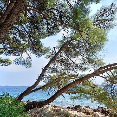 Apartments Jaksic تروغير المظهر الخارجي الصورة