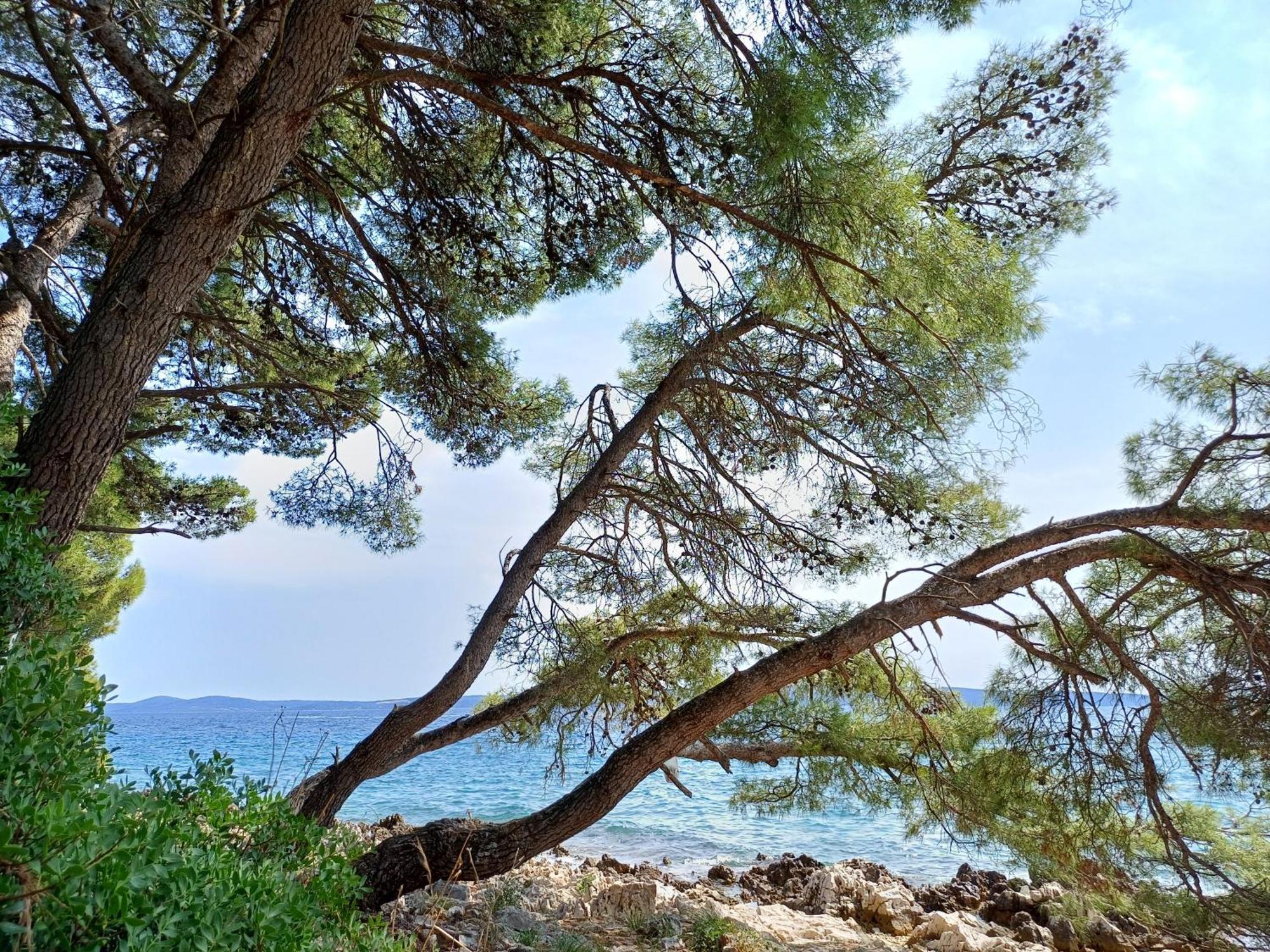 Apartments Jaksic تروغير المظهر الخارجي الصورة