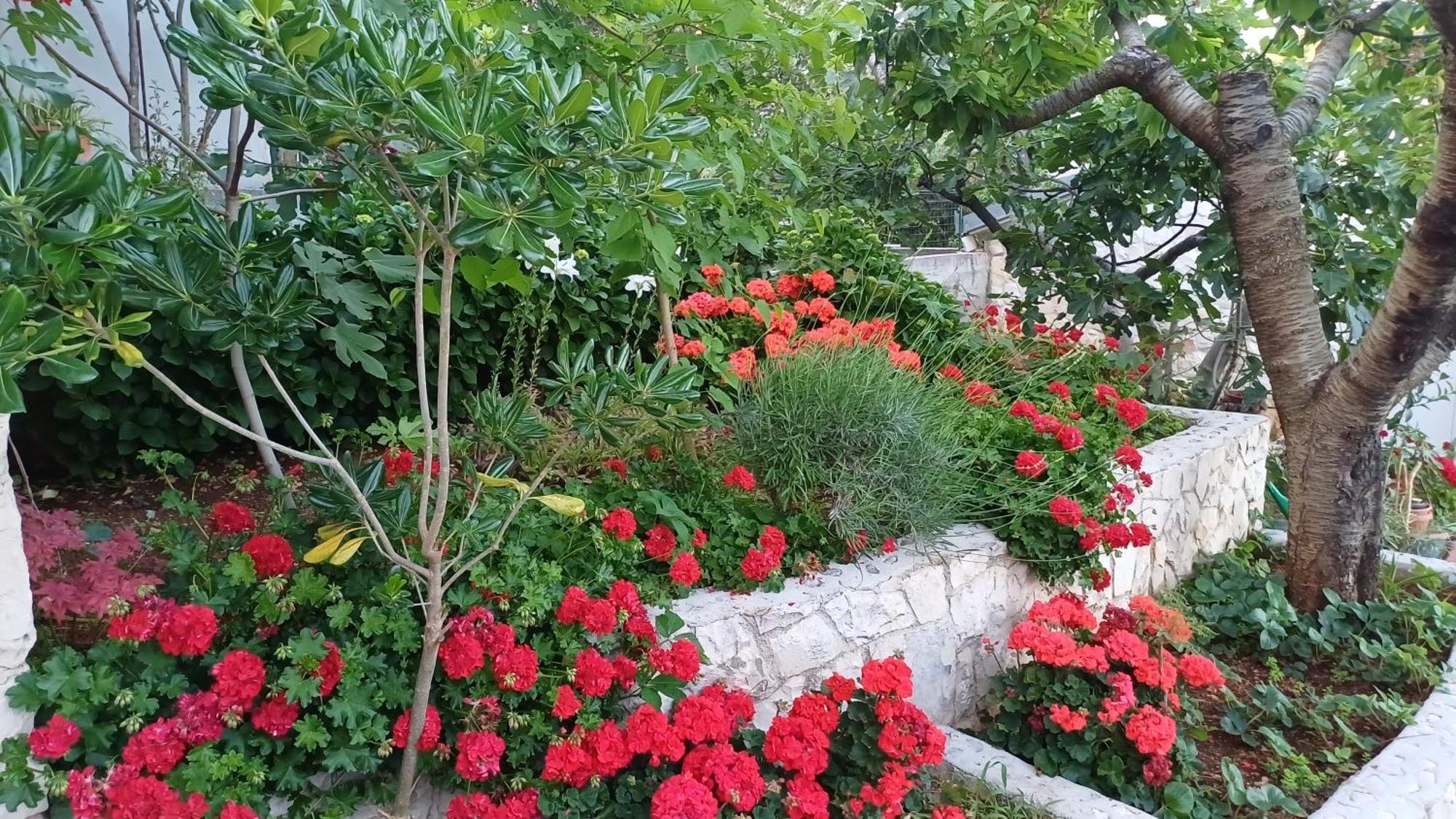 Apartments Jaksic تروغير المظهر الخارجي الصورة