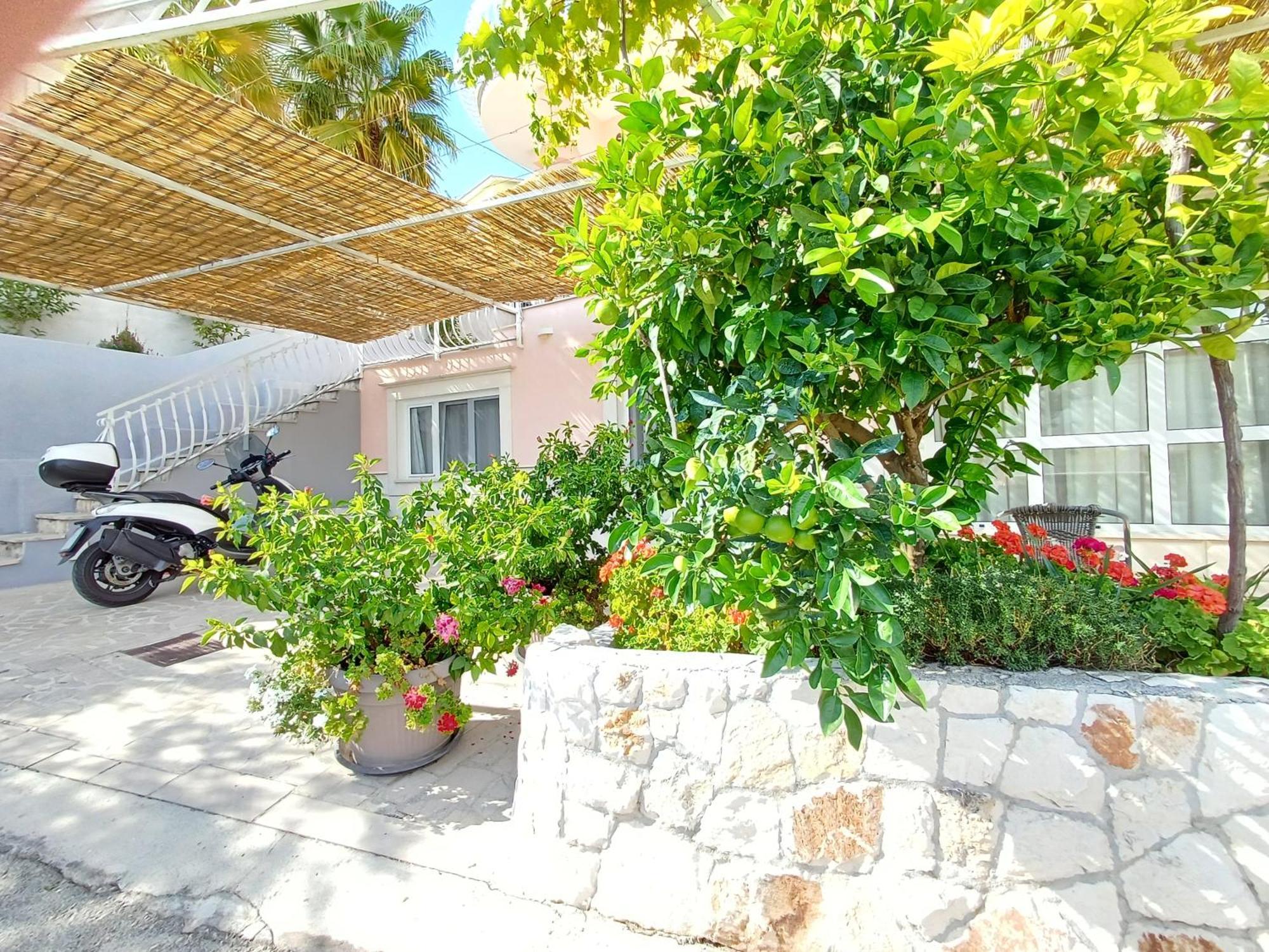 Apartments Jaksic تروغير المظهر الخارجي الصورة